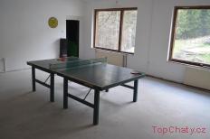 Pingpong